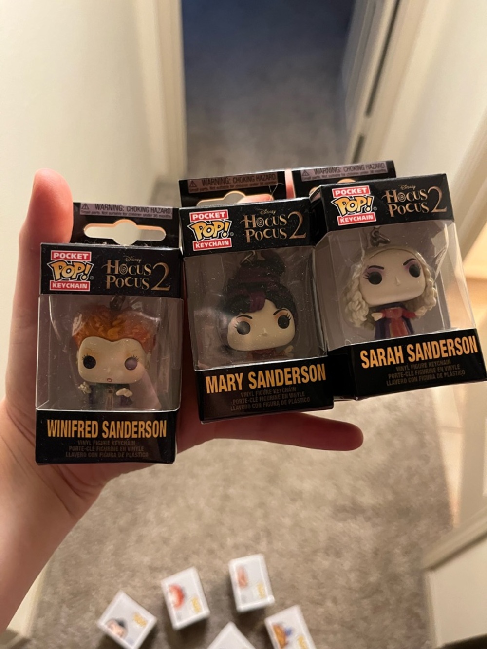 Hocus pocus Sanderson sister Funko keychains